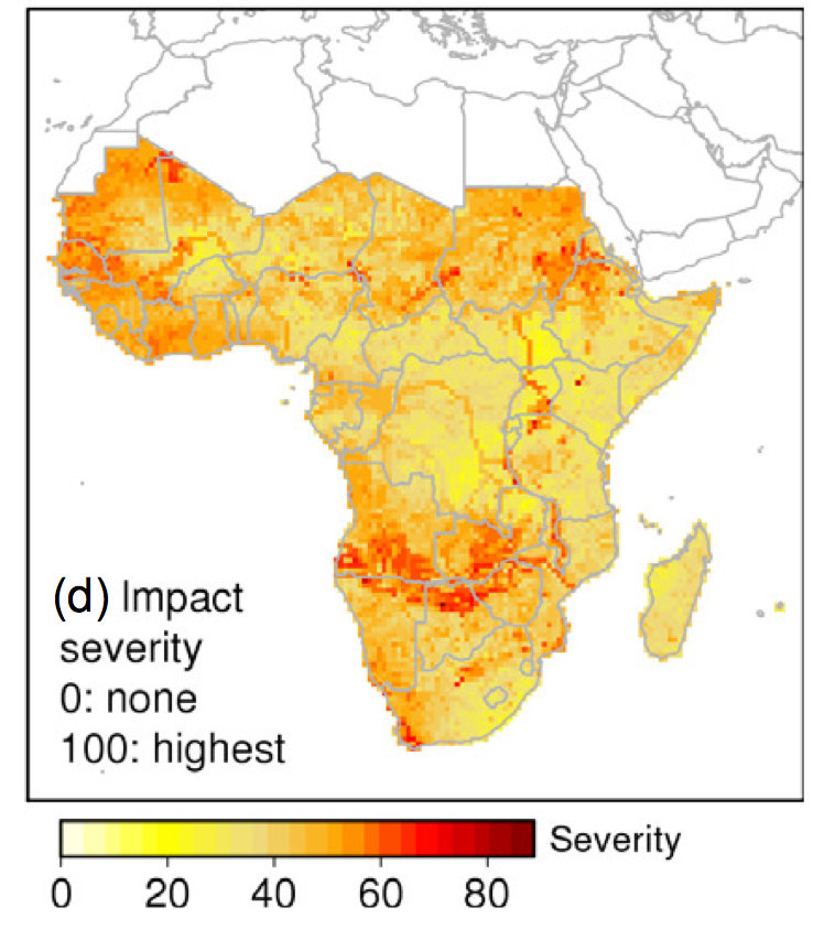 Adapting to climate change calls for a local approach, new research ...