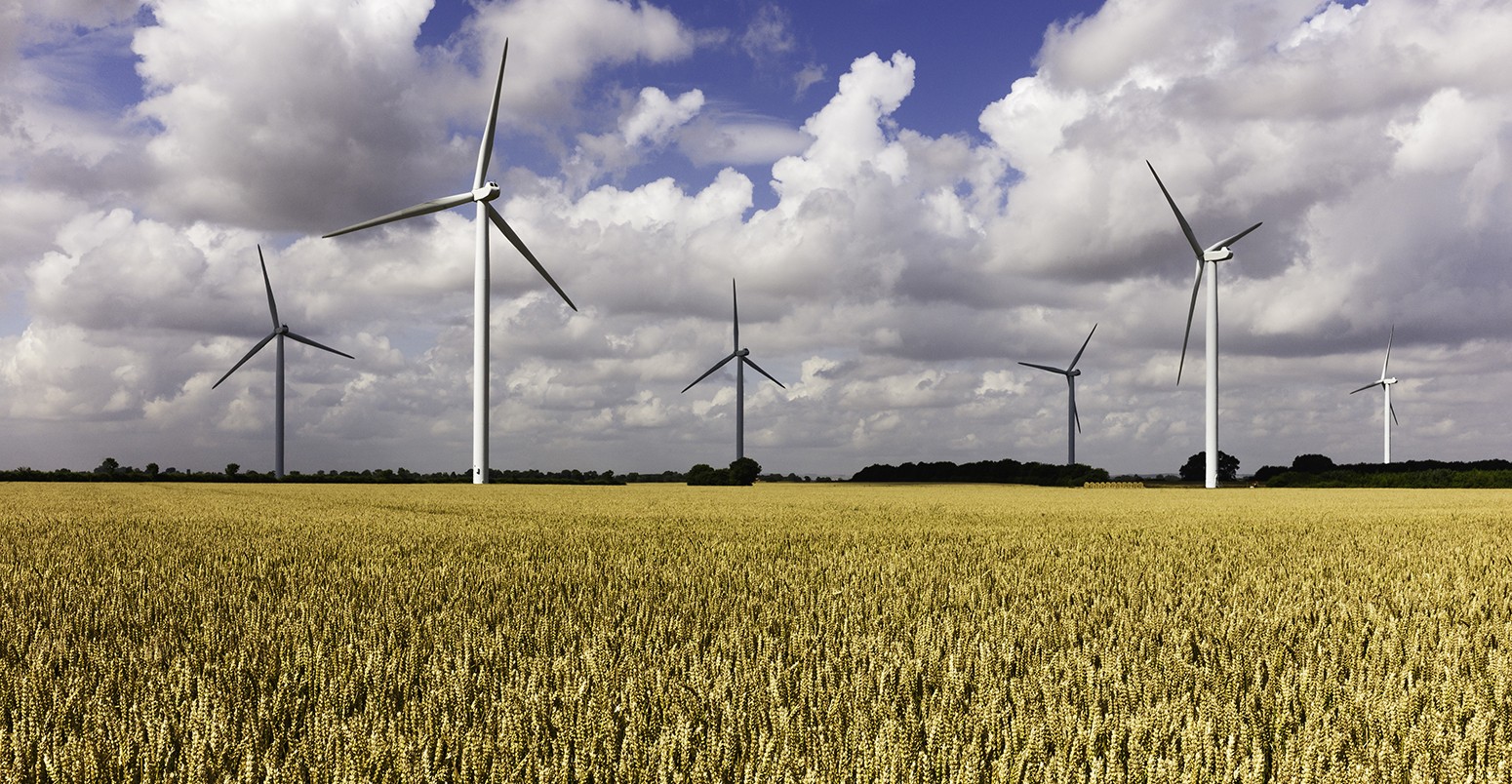 Energy field. Wind Energy field. Vertical Farms пшеница. Wind Farm and Solar Farms. Гросхерц энергия.