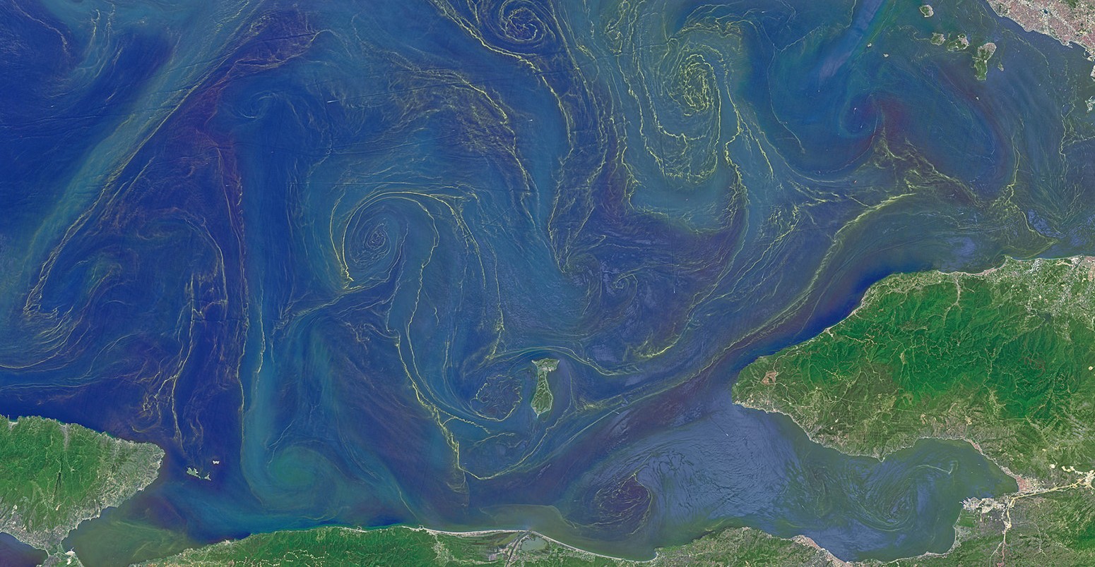 Phytoplankton blooms in the Sea of Marmara.