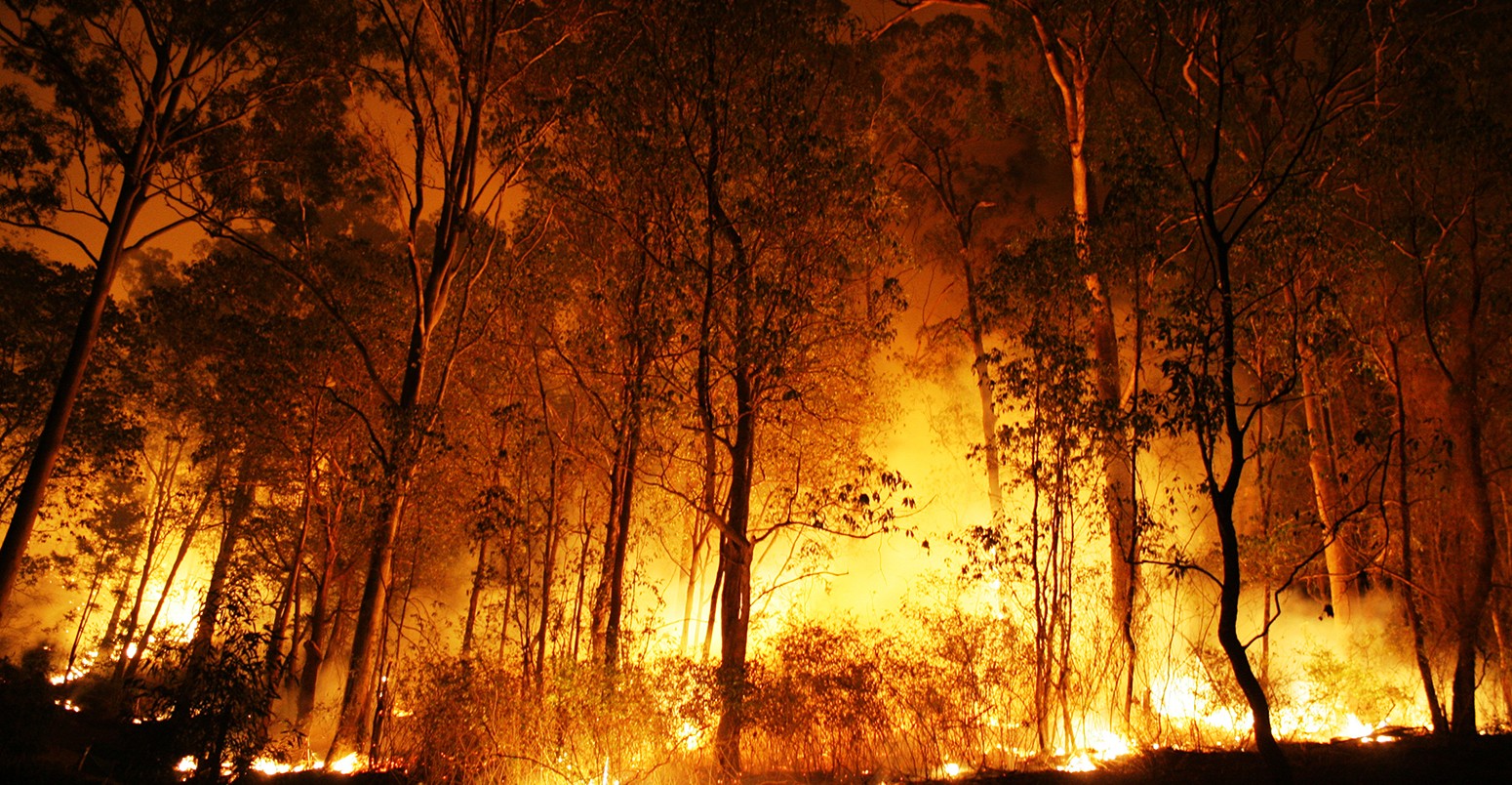 Bushfire burning at night