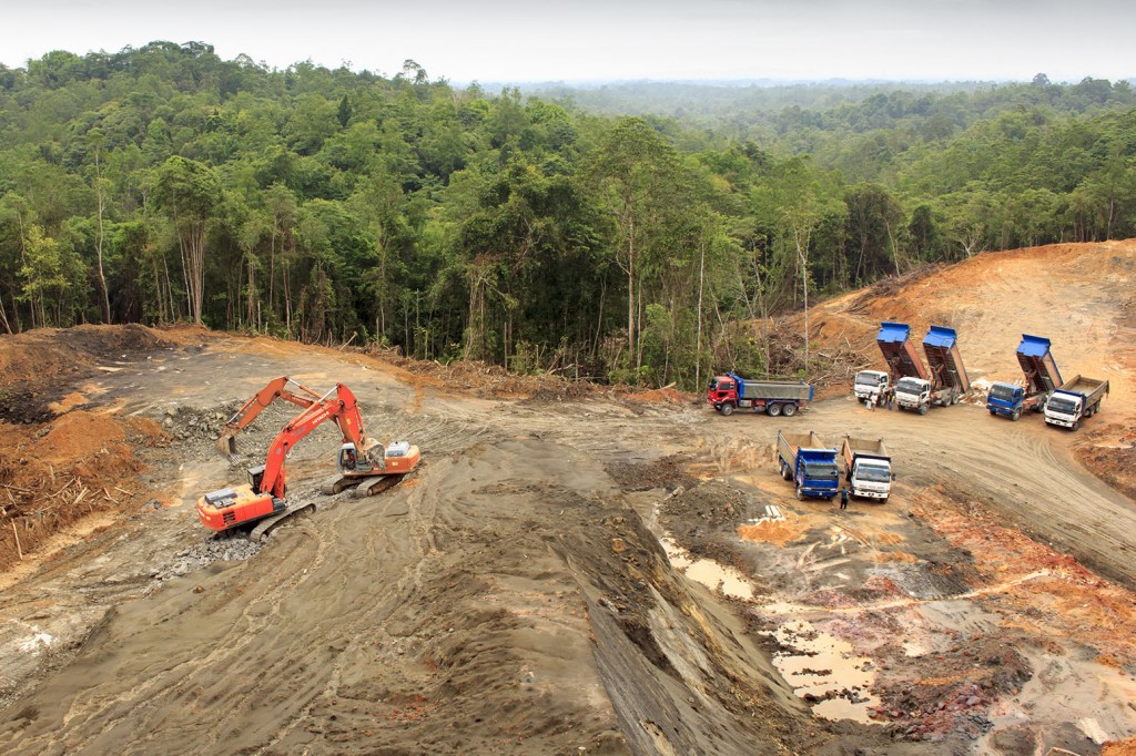 deforestation borneo malaysia rainforest palm | Carbon Brief