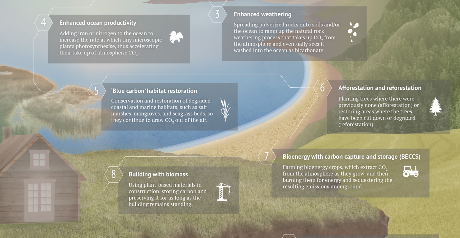 Infographic: Ten options for negative emissions