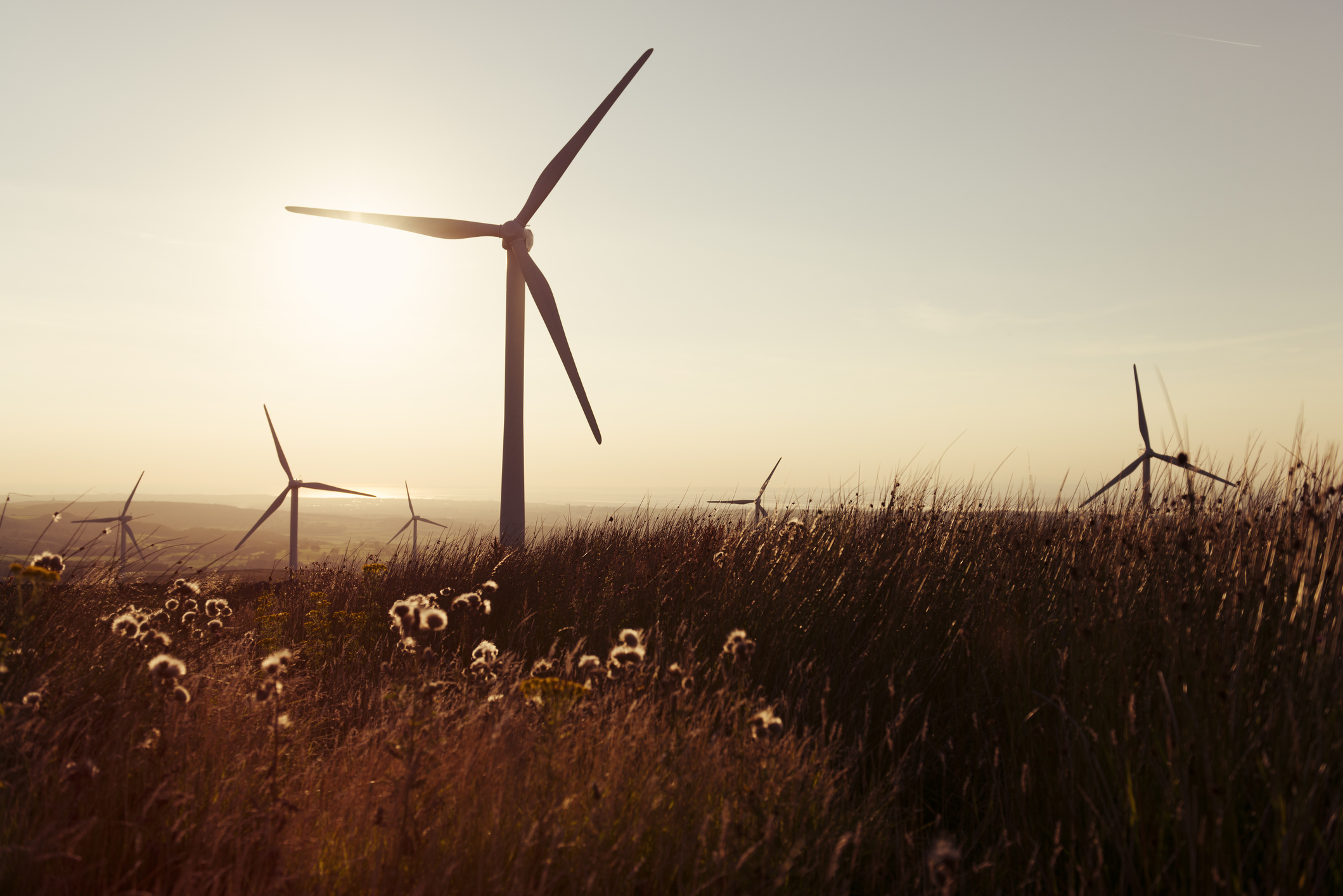 How windy is too windy for wind turbines?