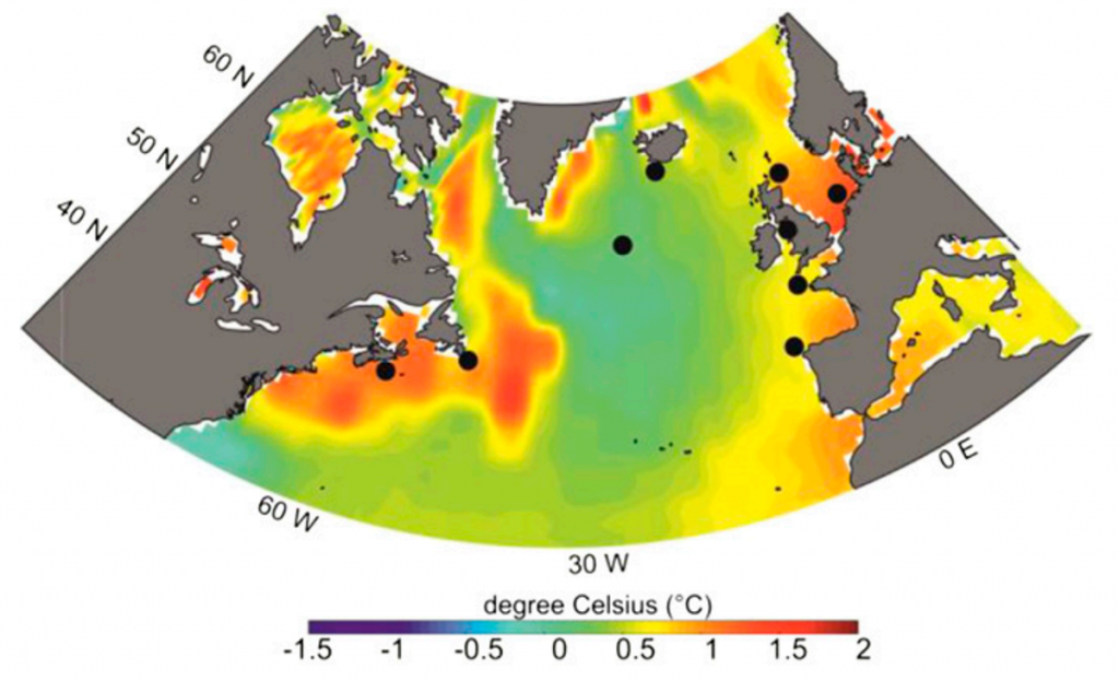 Warming Atlantic Ocean leads to rise in marine bacteria - Carbon Brief