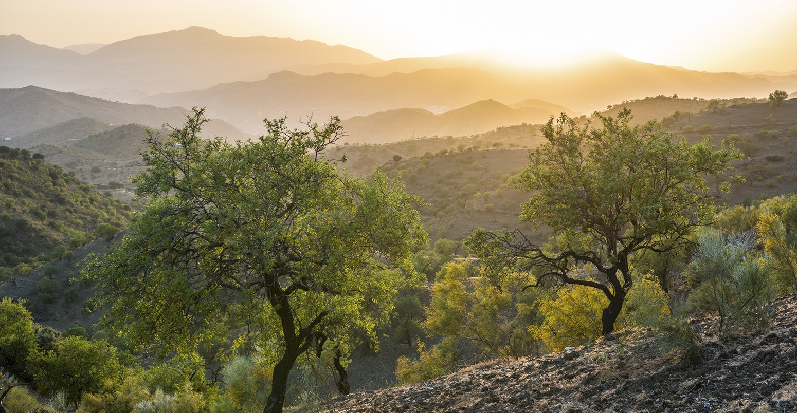 Andalusian landscape near Alora, Spain