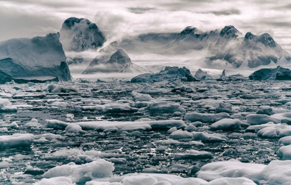 After several days at sea, getting acquainted with icebergs and the brisk Antarctic air, we left the safety of our expedition vessel for our second zodiac excursion of the trip.