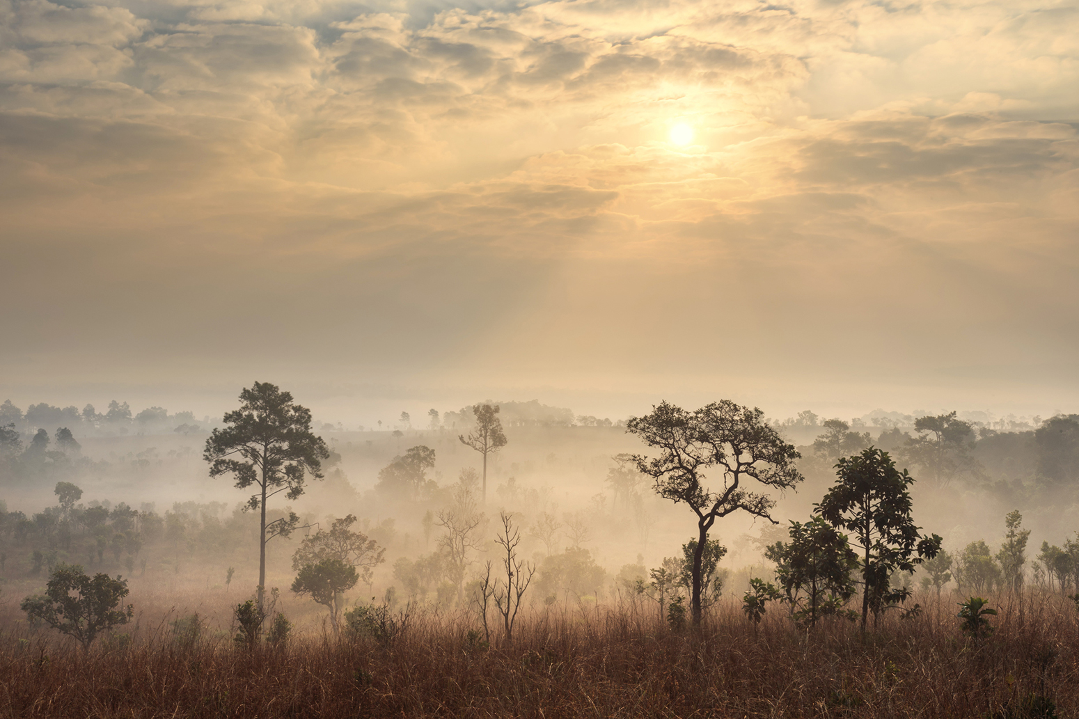 Dramatic Decrease In mild Weather For Tropical Countries By 2100 