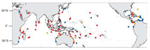 Severe coral reef bleaching now ‘five times more frequent’ than 40 ...