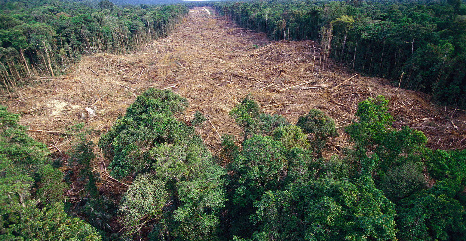 https://www.carbonbrief.org/wp-content/uploads/2018/04/rainforest-deforestation-1550x804.jpg