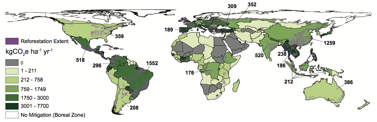 Analysis: How ‘natural climate solutions’ can reduce the need for BECCS ...