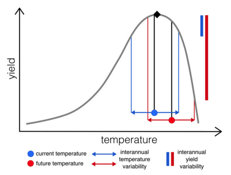 Guest post: Climate change could heighten risk of global food ...