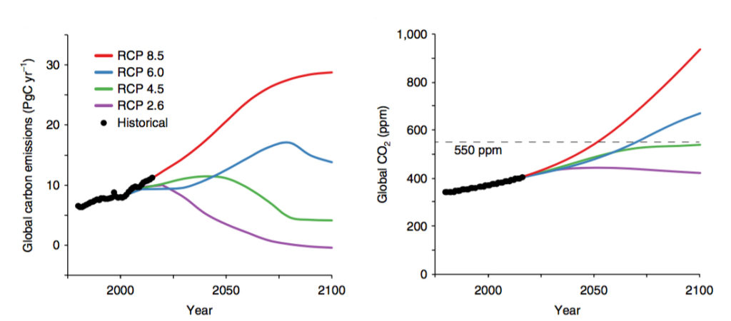 Left: Global carbon emissions (black) and projected emissions under RCP2.6 (purple), RCP4.5 (green), RCP6.0 (blue) and RCP8.5 (red) from 1980-2100. Right: Global CO2 ppm from 1980-2100, with dashed line indicating point at reach concentrations reach 550ppm.