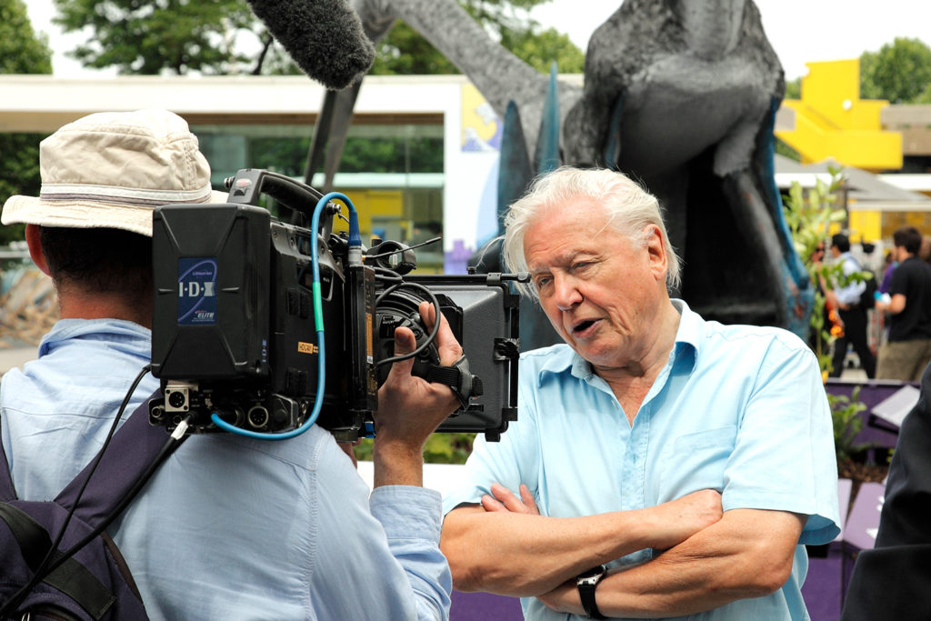 Sir David Attenborough being filmed beside an exhibition of Pterosaurs at the Southbank Centre, London. Credit: Tony Watson / Alamy Stock Photo. BN5MAP