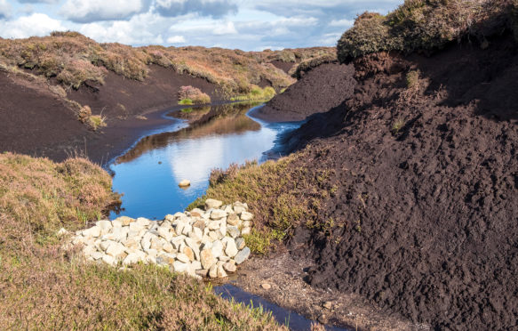 Stones used to block a gulley and prevent further erosion of moorland peat on Kinder Scout, Derbyshire, Peak District, UK. Credit: Martyn Williams / Alamy Stock Photo. M7RHP3