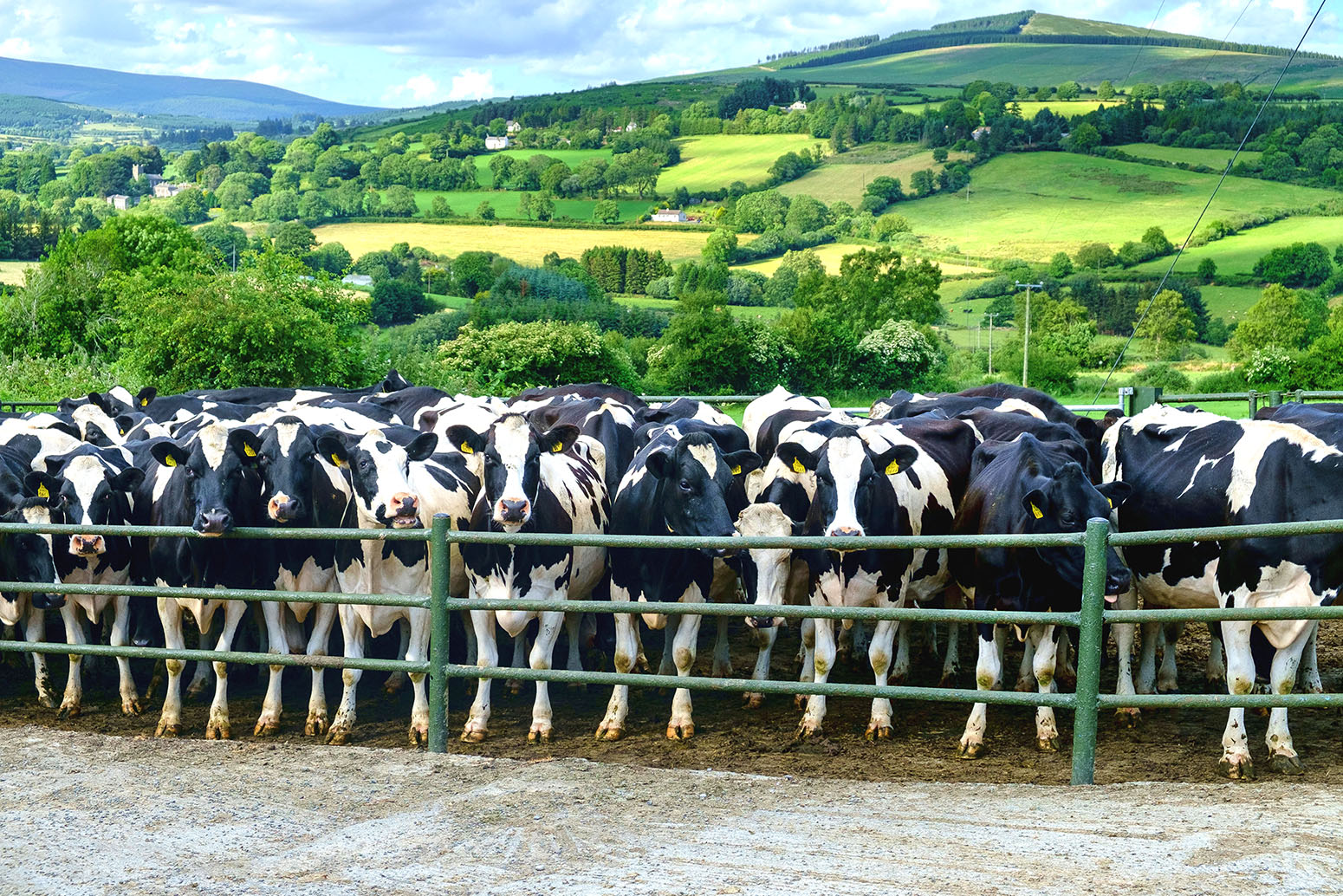 CCC: Farming needs a ‘revolution’ for UK to meet climate goals - Carbon Brief