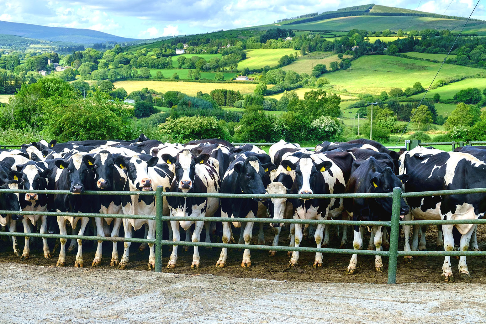 CCC: Farming needs a ‘revolution’ for UK to meet climate goals - Carbon ...