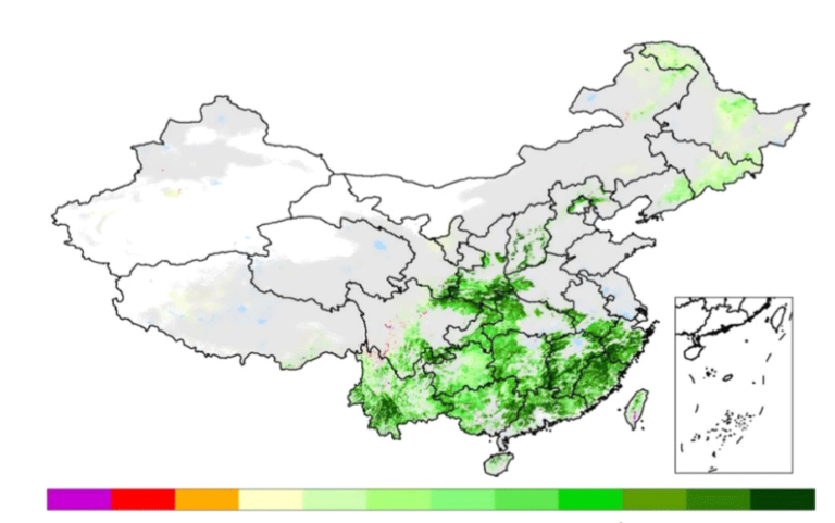 One-third of world’s new vegetation in China and India, satellite data ...