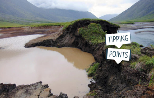 Permafrost thaw in the Gates of the Arctic National Park, Alaska. Credit: Natural History Archive / Alamy Stock Photo. M5R6R1