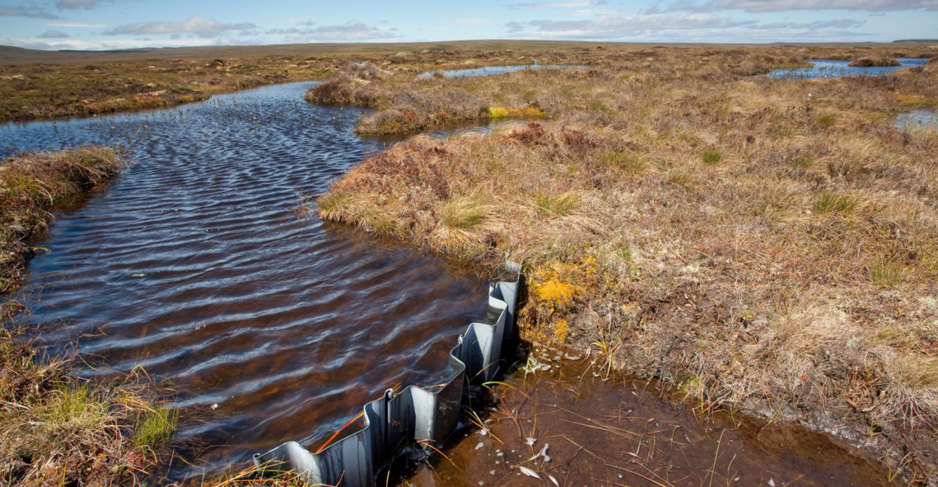 Restoring soils could remove up to ‘5.5bn tonnes’ of greenhouse gases ...