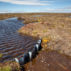 Dam in place to re-wet blanket bog at RSPB Forsinard Flows, Flow country, Caithness, Highland, Scotland. Credit: Nature Picture Library / Alamy Stock Photo