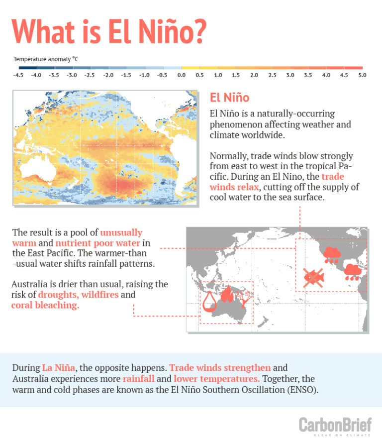 Explainer: How climate change is affecting wildfires around the world