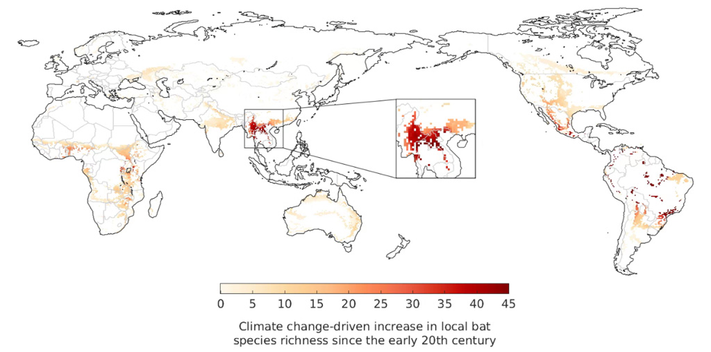 migratory bat maps