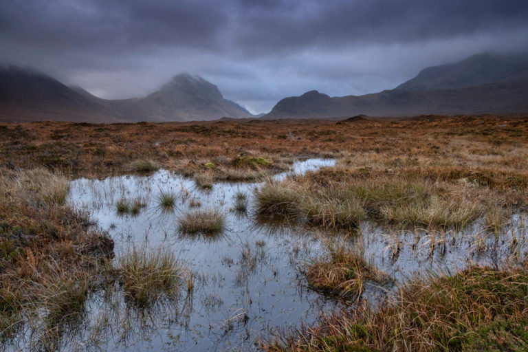 Analysis: How will England's strategies for trees and peat help achieve ...