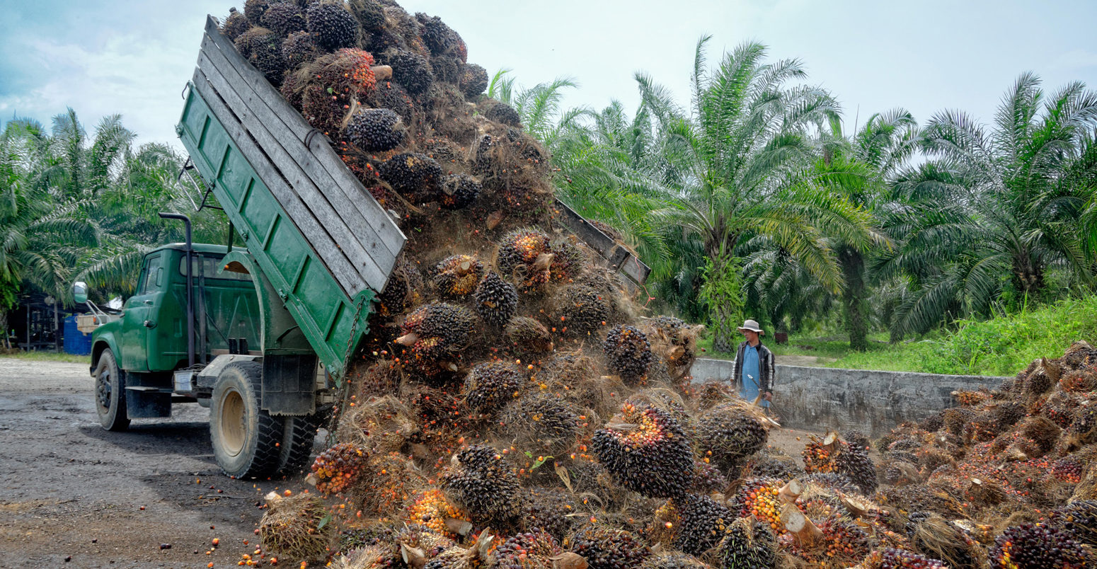 Food miles' have larger climate impact than thought, study suggests -  Carbon Brief