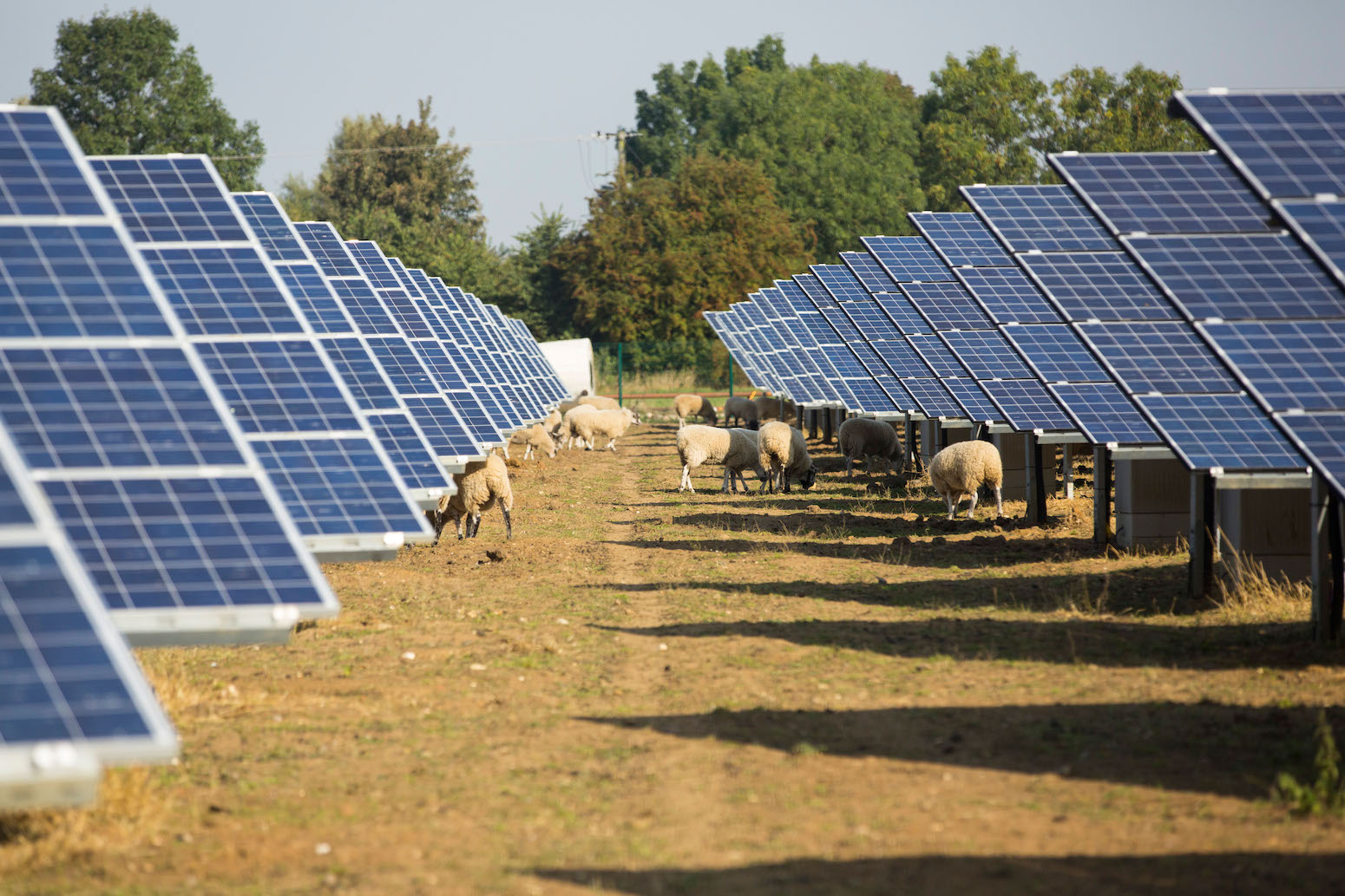 Factcheck Is Solar Power A threat To UK Farmland Carbon Brief