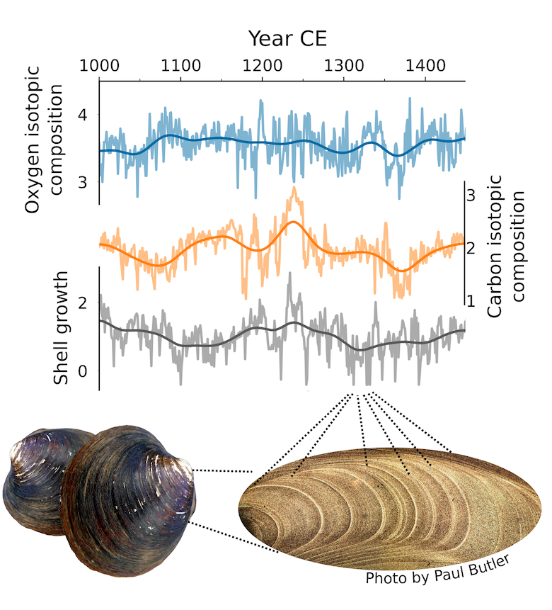 Guest post: Clam shells show how North Atlantic 'tipped' into