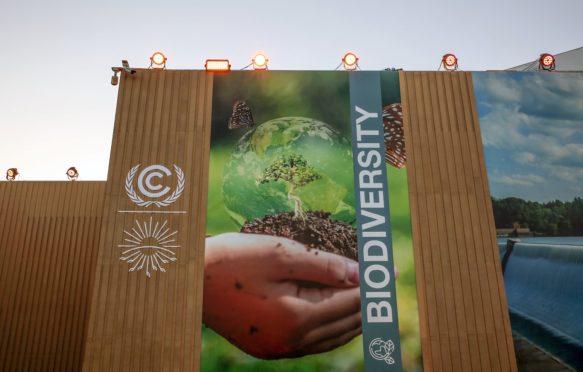 Outside the COP27 venue. Photo by IISD/ENB | Mike Muzurakis.