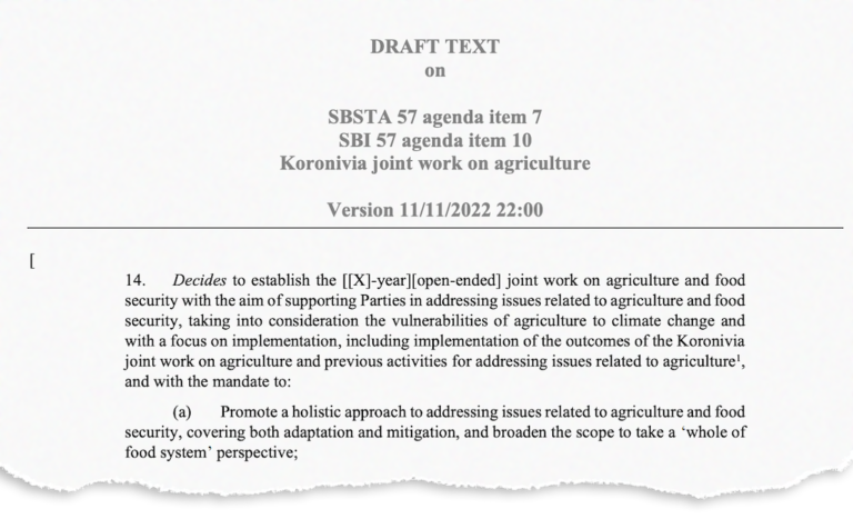 COP27: Key Outcomes Agreed At The UN Climate Talks In Sharm El-Sheikh ...