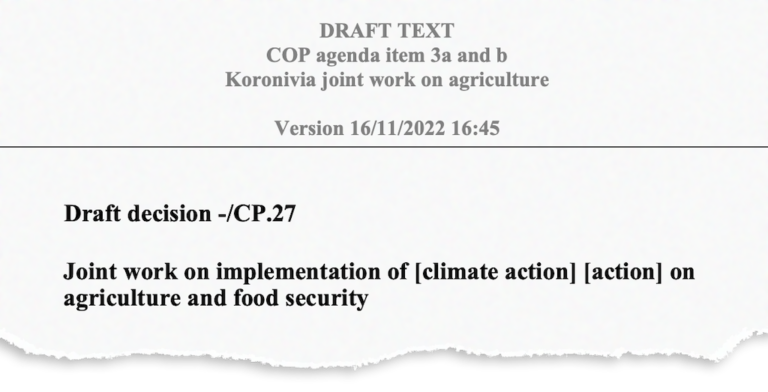 COP27: Key Outcomes Agreed At The UN Climate Talks In Sharm El-Sheikh ...