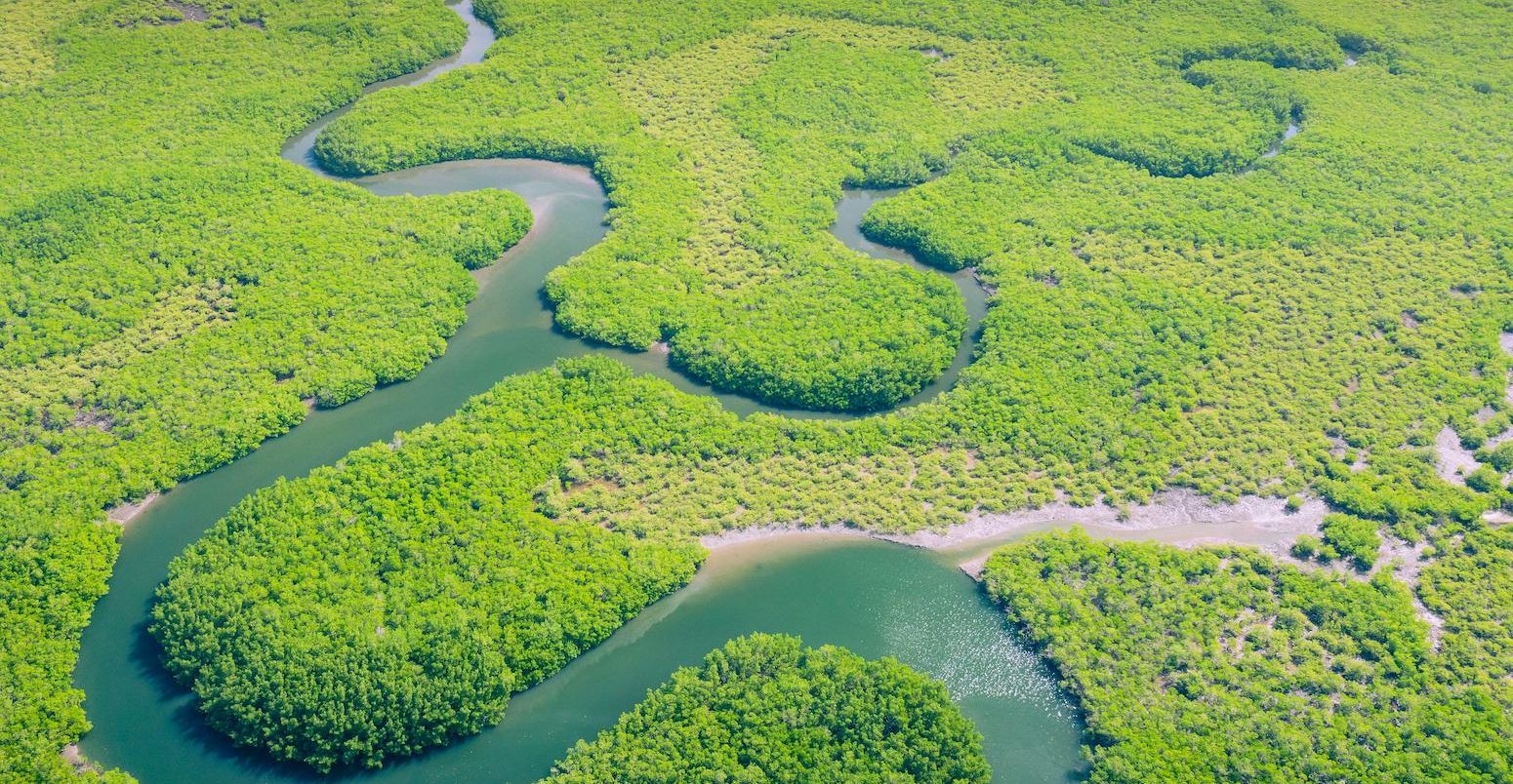 Aerial view of Amazon rainforest in Brazil, South America.