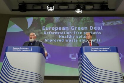 Q&A: What Does The EU’s New Deforestation Law Mean For Climate And ...