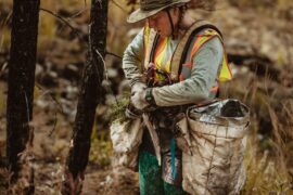 Woman planting new trees in a forest.