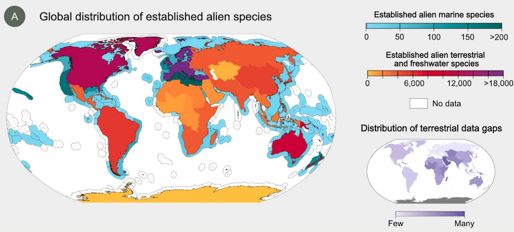 The global distribution of all known established alien species occurrences in the land and sea. 