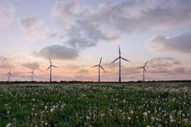 Silhouette of wind turbines in sunset.