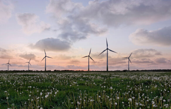 Silhouette of wind turbines in sunset.