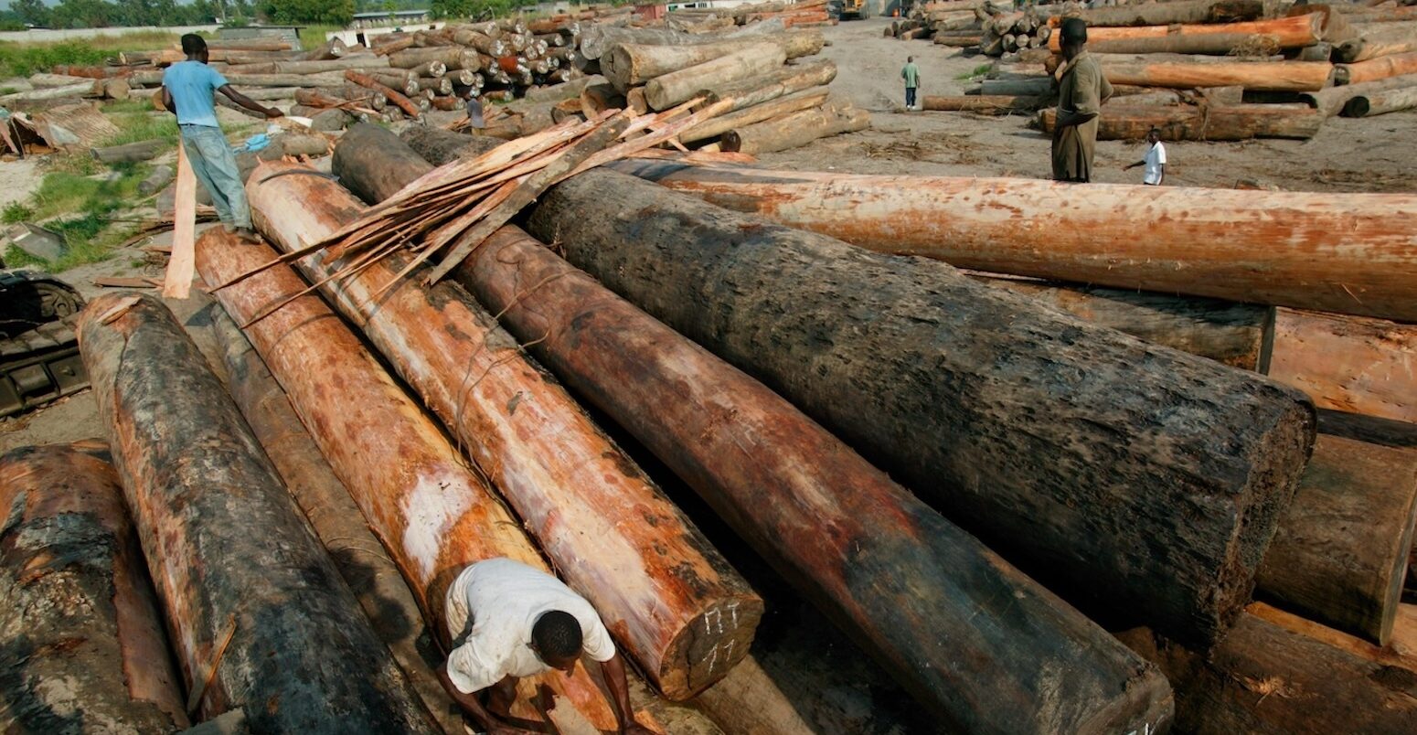 Illegally logged wood on the bank of Kinshasa, DRC.