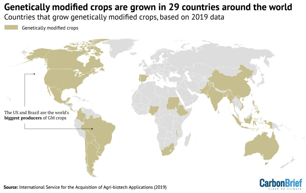 Genetically modified crops are grown in 29 countries around the world