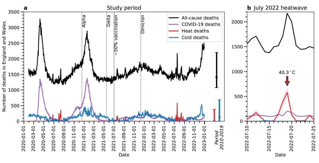Daily deaths attributable to heat (red), cold (blue) and Covid-19 (purple) between 30 January 2020 to 31 December 2022 in England and Wales. The black line shows deaths in the UK from all causes. Source: Lo et al (2024).