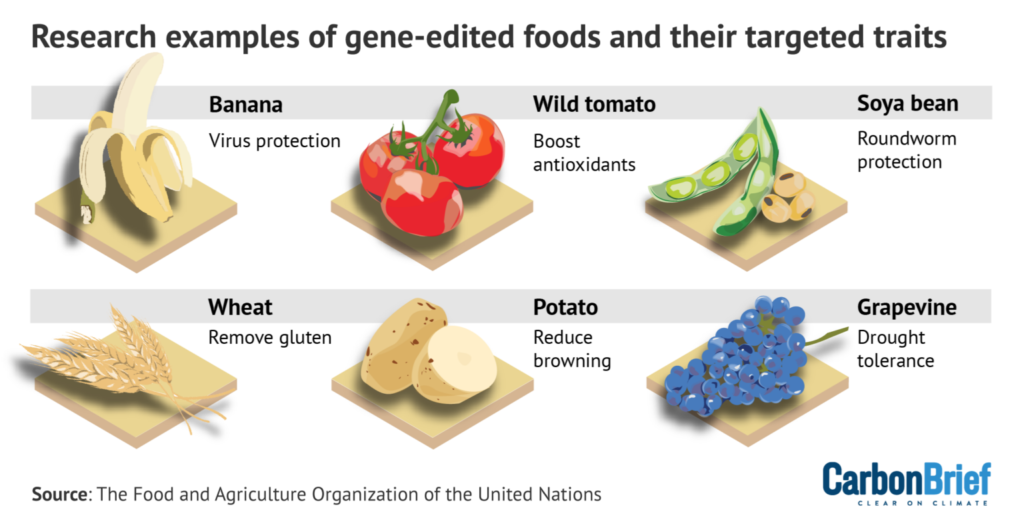 Research examples of gene-edited foods and their targeted traits