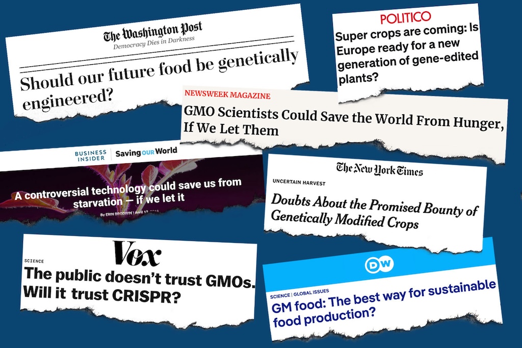 GMO headline collage