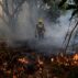 A firefighter working to put out a fire in the Pantanal in Mato Grosso do Sul, Brazil on 7 July 2024.