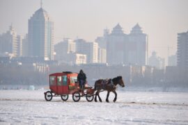 Horse and carriage crosses the frozen Songhua River with the city of Harbin in background. Heilongjiang Province, China.