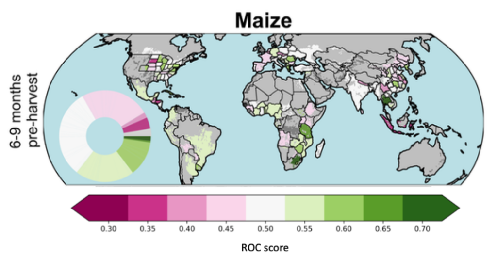 Maize yield forecast skill, from low (pink) to high (green) skill. An ROC skill score of one indicates a perfect model, while a score of below 0.5 indicates a model with no skill relative to random chance. Source: Anderson et al. (2024)