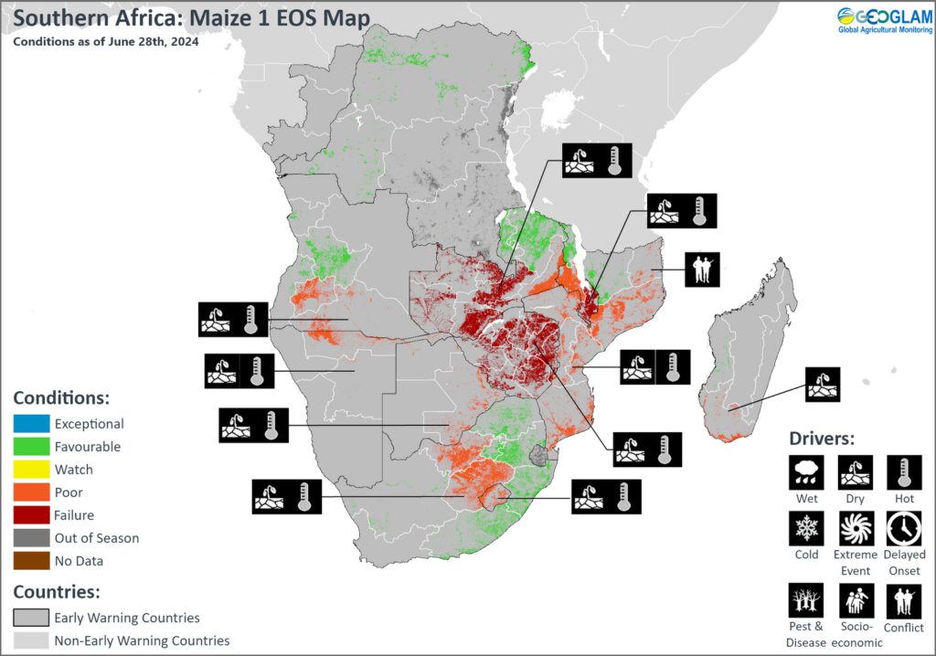 Southern Africa: Maize map