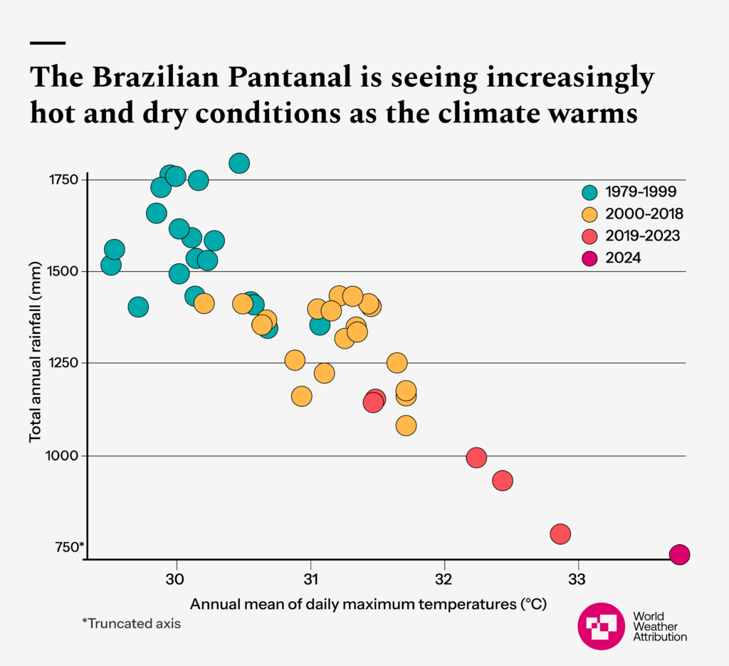 The Brazilian Pantanal is seeing increasingly hot and dry conditions as the climate warms