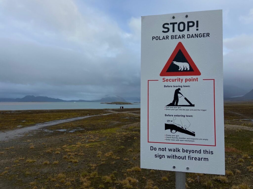 A sign reads"Stop, Polar bear danger" sign."